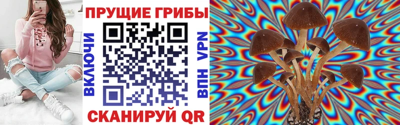 Псилоцибиновые грибы прущие грибы  Купить  Горячий Ключ 